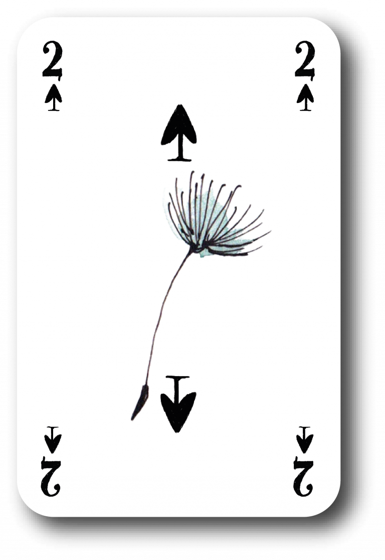 Element 14Pik-Zahlenkarten