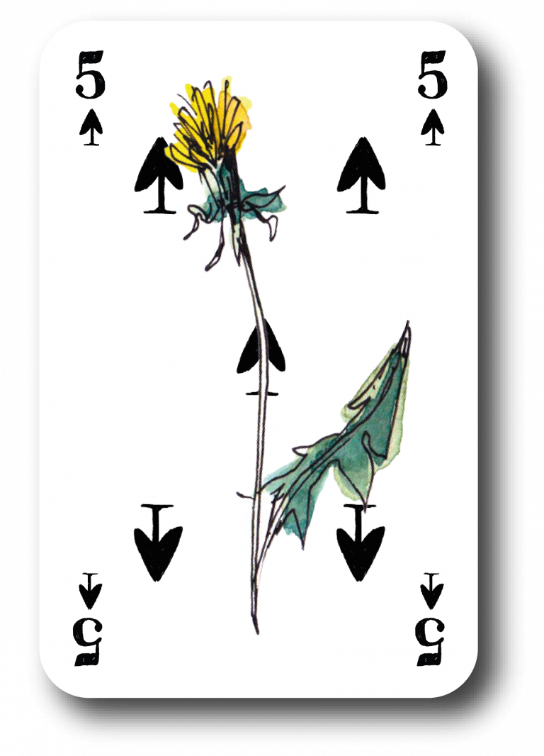 Element 21Pik-Zahlenkarten